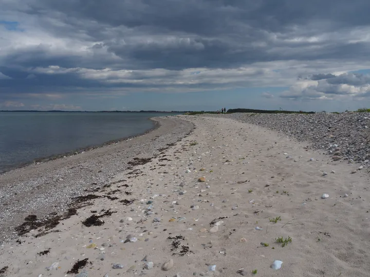 Halshuisene + Enebaerodde Beach (Denemarken)